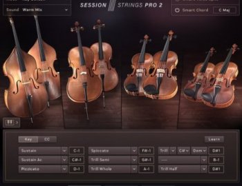 Native Instruments Session Strings Pro 2 (KONTAKT)