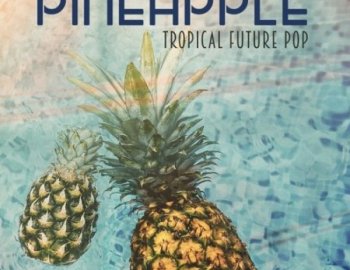 Freaky Loops Pineapple Tropical Future Pop
