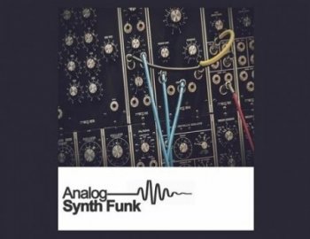 Samplestar Analog Synth Funk