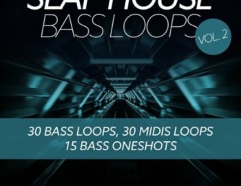 Baltic Audio Slap House Bass Loops Vol 2