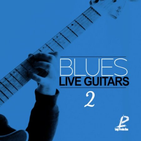 Luigi Production Blues Live Guitars 2