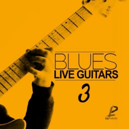Luigi Production Blues Live Guitars 3