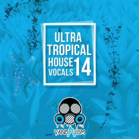 Vandalism Ultra Tropical House Vocals 14