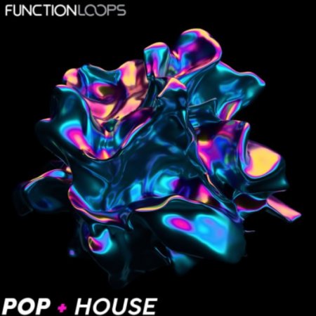 Function Loops Pop + House