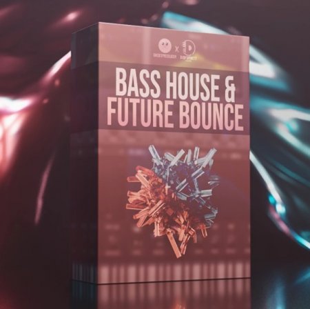 Disformity Bass House & Future Bounce