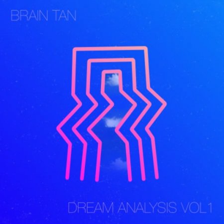 RARE Percussion Brain Tan Dream Analysis Vol 1
