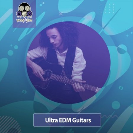 Vandalism Ultra EDM Guitars