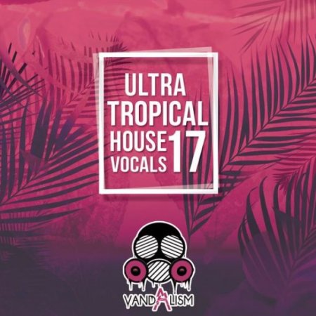 Vandalism Ultra Tropical House Vocals 17