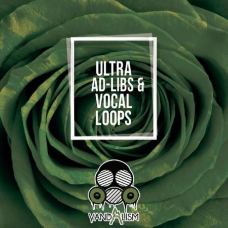 Vandalism Ultra Ad-Libs & Vocal Loops
