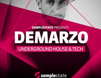 Samplestate Demarzo Underground House and Tech