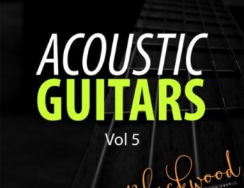 Blackwood Samples Acoustic Guitars 5