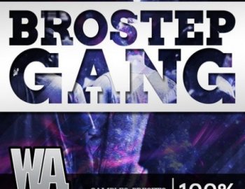 WA Production What About Brostep Gang