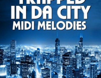 Mainroom Warehouse Trapped In Da City MIDI Melodies