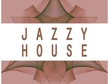 Deep Data Loops Jazzy House