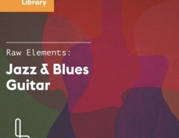 Loop Lounge Raw Elements Jazz and Blues Guitar