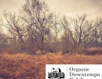 Rankin Audio Organic Downtempo Vol. 2