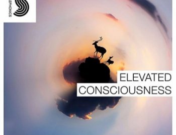 Samplephonics Elevated Consciousness