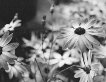 43% Giant Melodic Techno