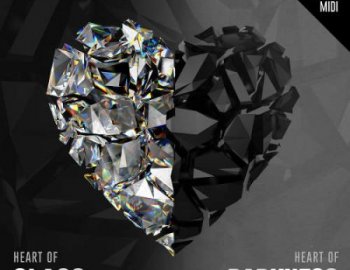 Black Octopus Heart of Glass / Heart of Darkness Bundle