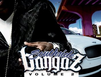Big Fish Audio Southside Bangaz Vol.2