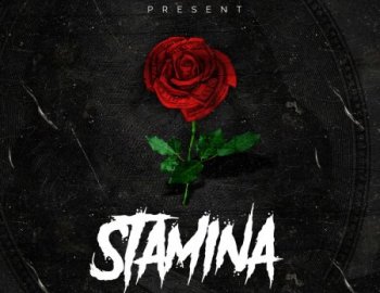 Rebel Nation Audio Stamina