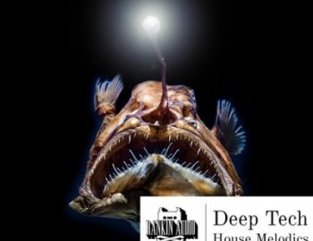 Rankin Audio Deep Tech House Melodics