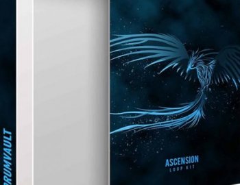 DrumVault Ascension Loop Kit