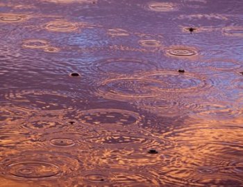 Cuff Malloy Clarinet and Flute Colours