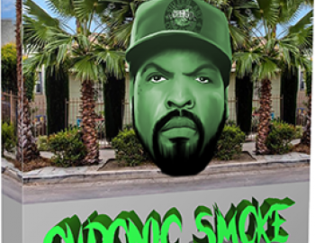 Scarebeatz Chronic Smoke