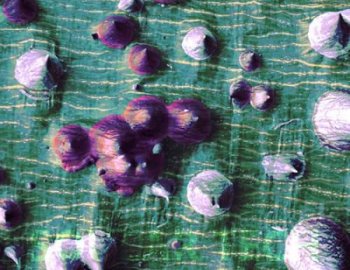 Noiz Koss Solar Tech