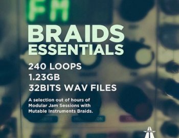 Audiobahn Braids Essentials