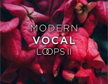 Laniakea Sounds Modern Vocal Loops 2