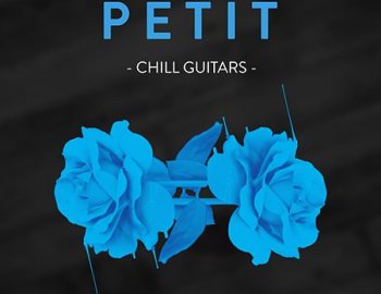 Aubitsound Petit Guitars