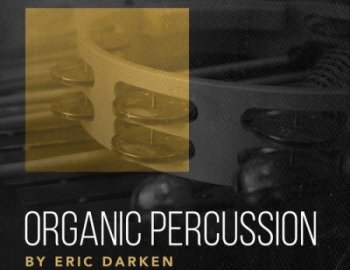 That Sound Organic Percussion