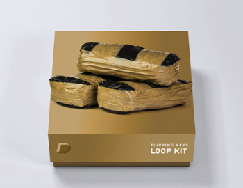 DrumVault Flipping Keys