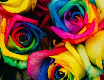 Happy Dagger Psychedelic Rock