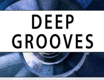 Deep Data Loops Deep Grooves