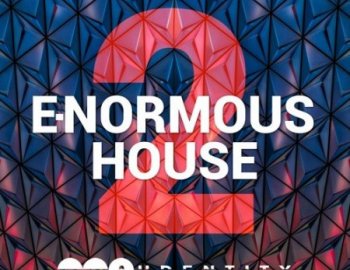 Audentity Records E-Normous House 2