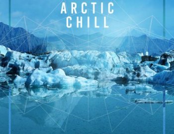 Black Octopus Sound Arctic Chill