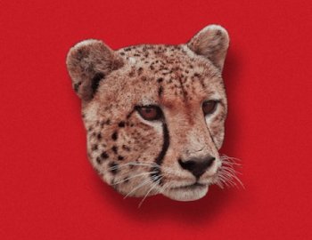 Unison Artist Series Jaydon Lewis Majestic Sounds