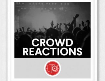 Big Room Sound Crowd Reactions