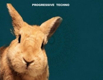 Honey Bunny Progressive Techno