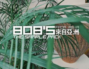 DELAY 808's from Asia The Sample Pack