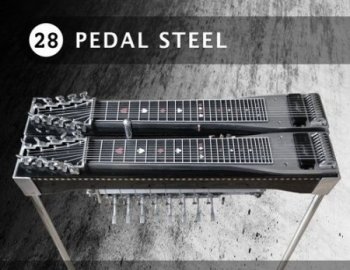 Ueberschall Pedal Steel (Elastik)