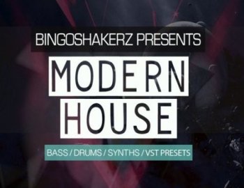 Bingoshakerz Modern House