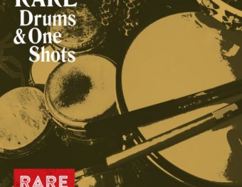 RARE Percussion Drums & One Shots