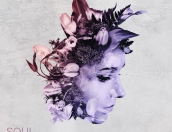 Black Octopus Sound Soul Searcher