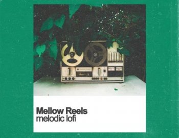 Samplestar Mellow Reels - Melodic Lofi