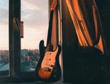 Touch Loops Vintage Guitars