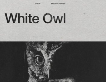 AngelicVibes White Owl